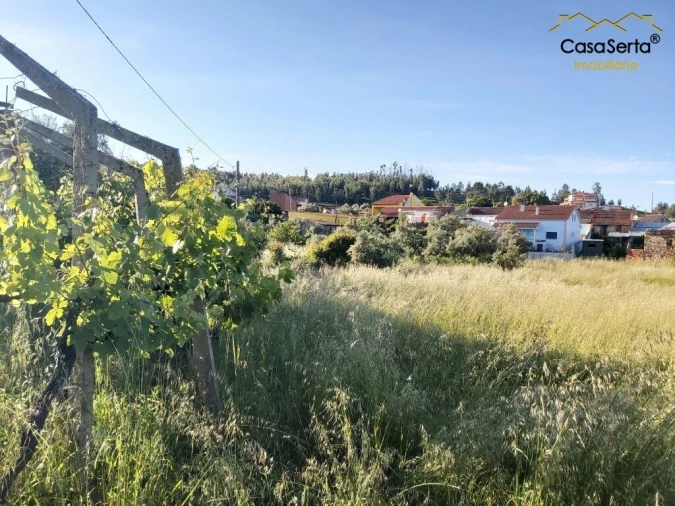 Terreno para Venda em Figueiró dos Vinhos e Bairradas Foto 8