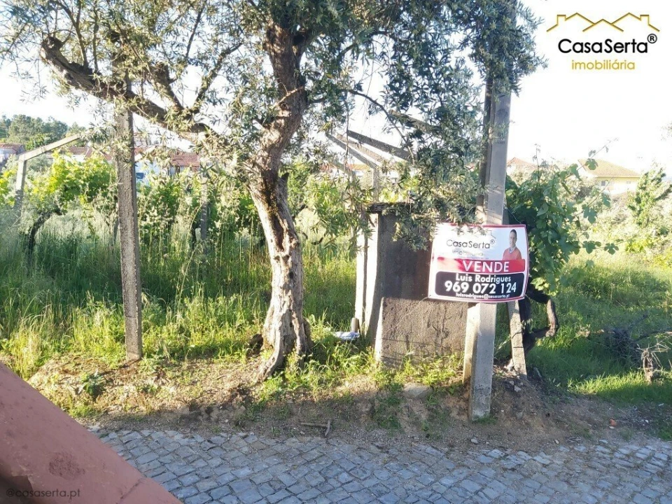 Terreno para Venda em Figueiró dos Vinhos e Bairradas Foto 3