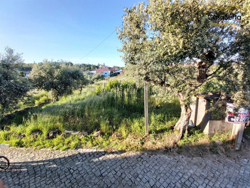 Terreno para Venda em Figueiró dos Vinhos e Bairradas Foto 4
