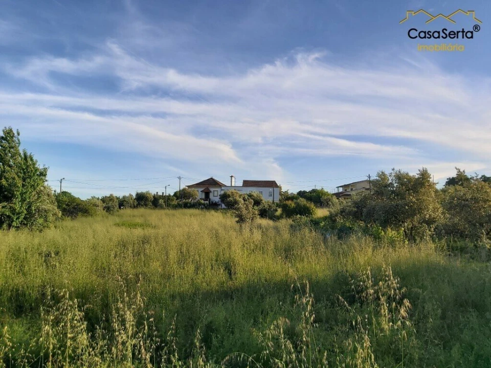 Terreno para Venda em Figueiró dos Vinhos e Bairradas Foto 7