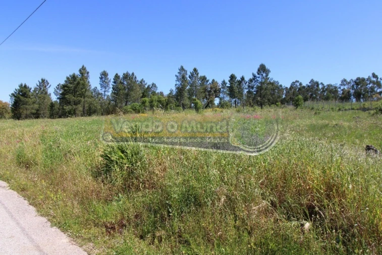 Terreno para Venda em Glória do Ribatejo e Granho Foto 2