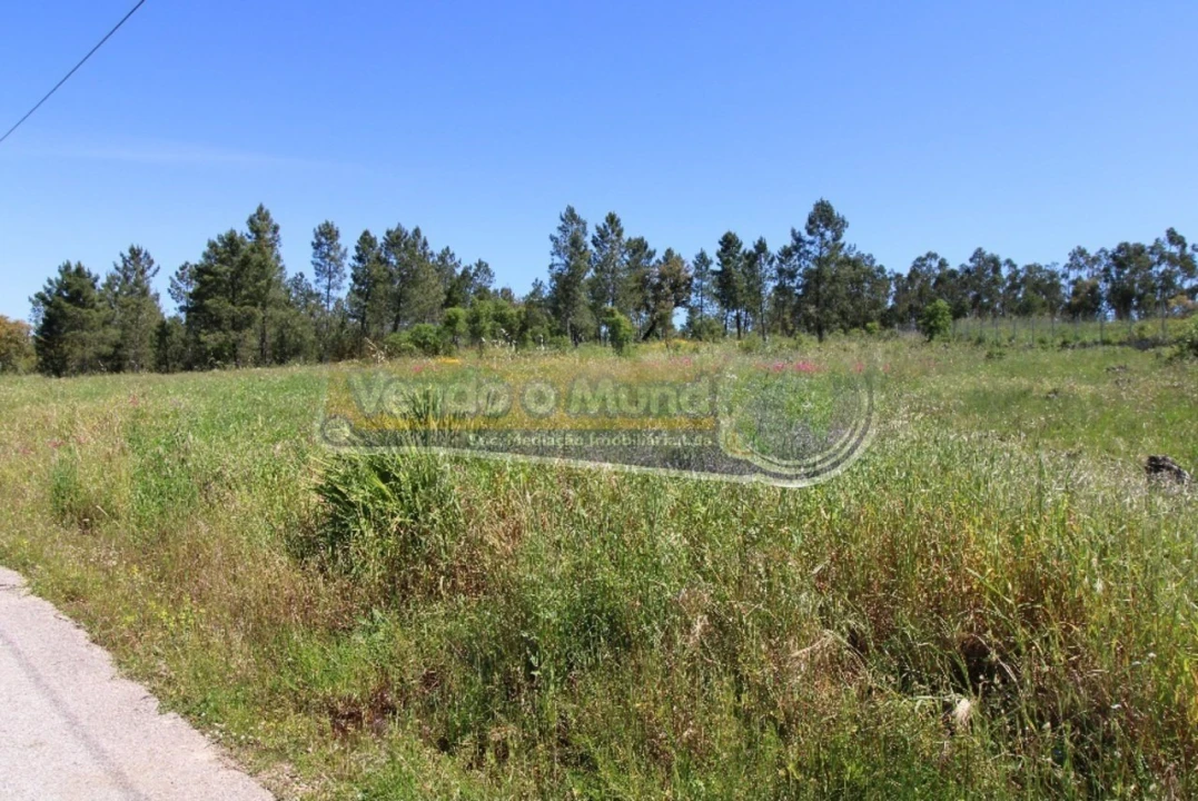Terreno para Venda em Glória do Ribatejo e Granho Foto 2