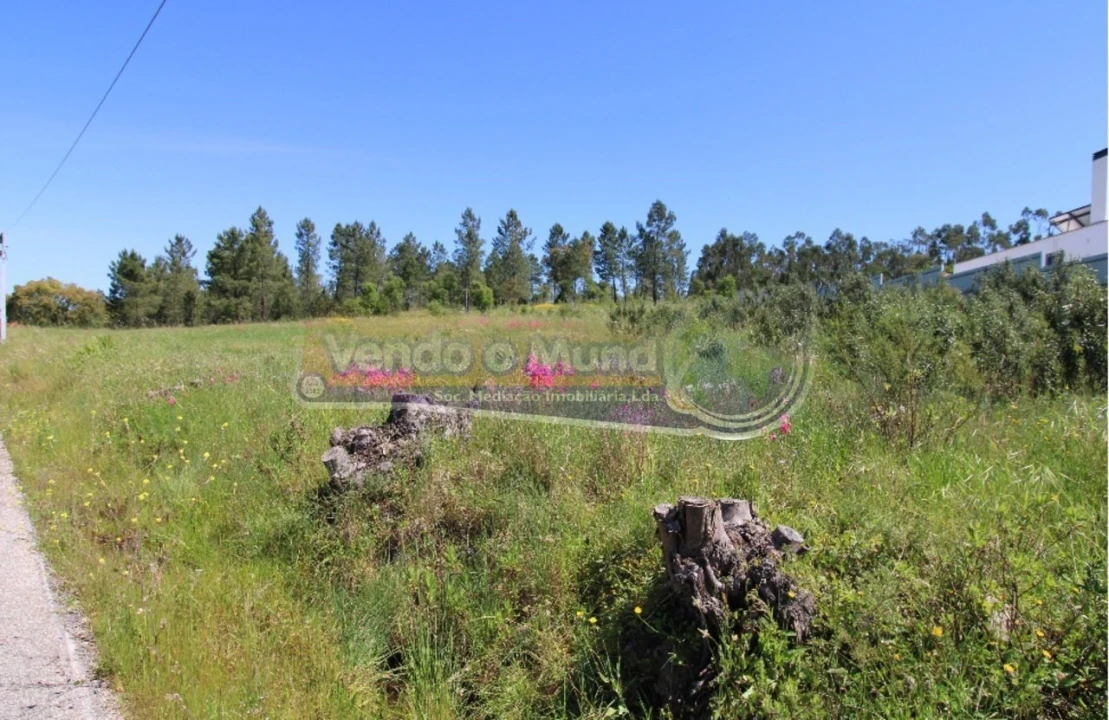 Terreno para Venda em Glória do Ribatejo e Granho Foto 1