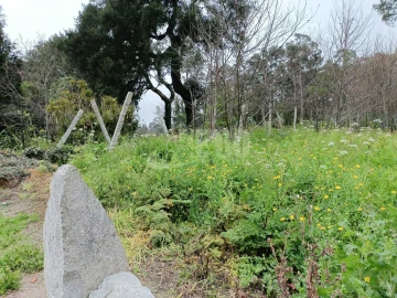 Terreno para Venda em Grijó e Sermonde