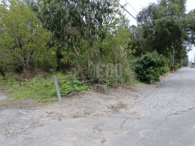 Terreno para Venda em Grijó e Sermonde Foto 3