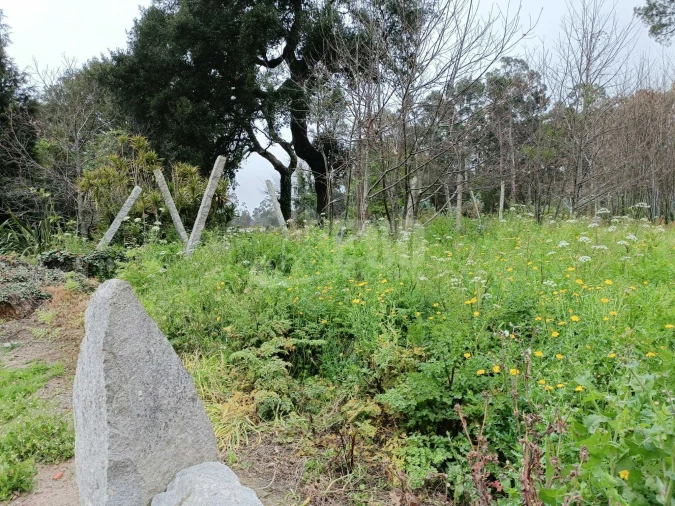 Terreno para Venda em Grijó e Sermonde Foto 9
