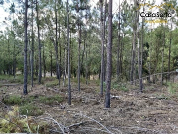 Terreno para Venda em Sertã