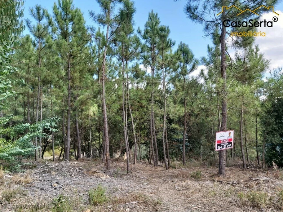 Terreno para Venda em Sertã Foto 4