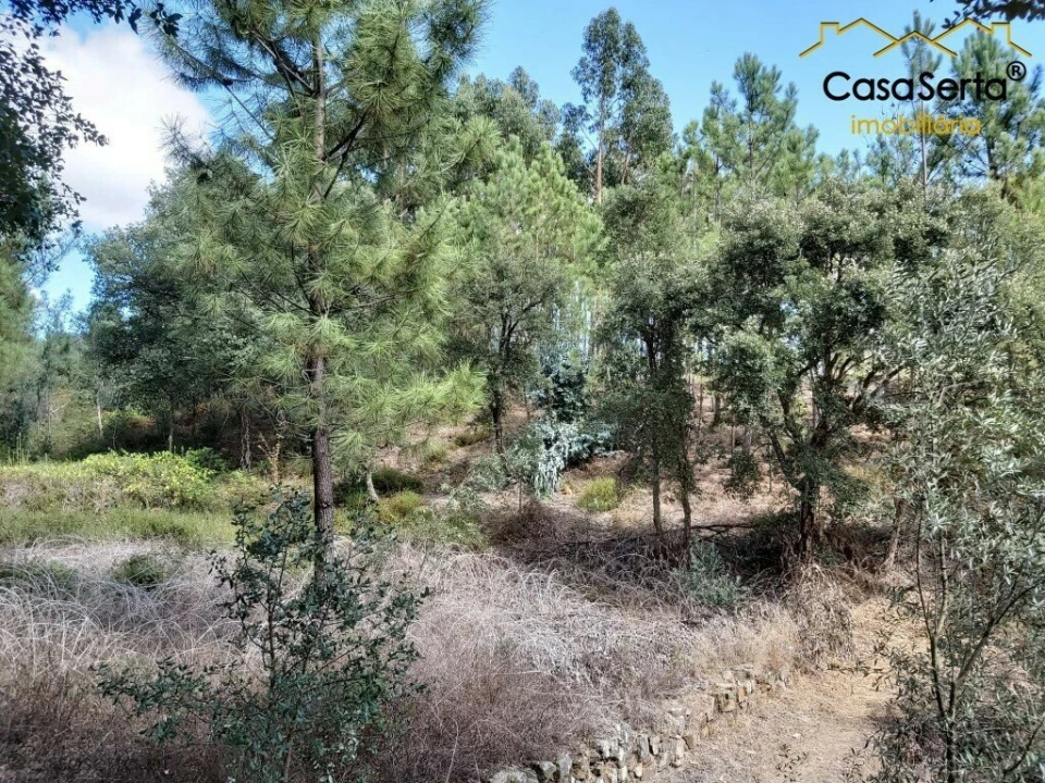 Terreno para Venda em Sertã Foto 8