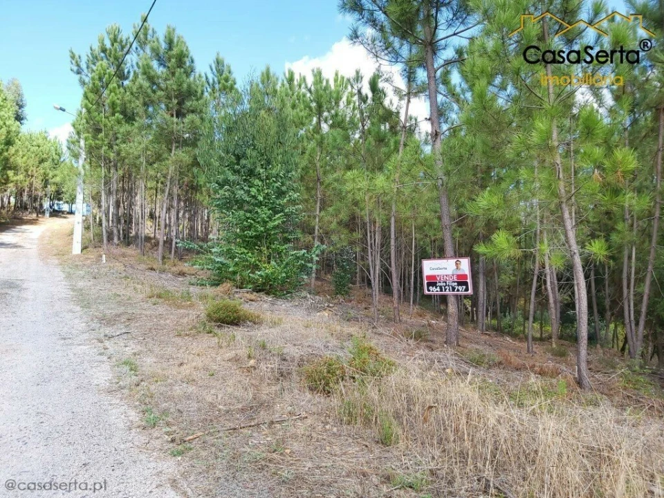 Terreno para Venda em Sertã Foto 1