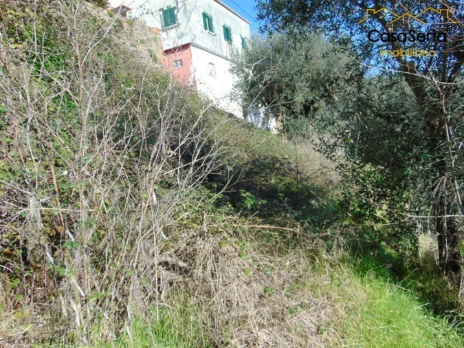 Terreno para Venda em Sertã Foto 13