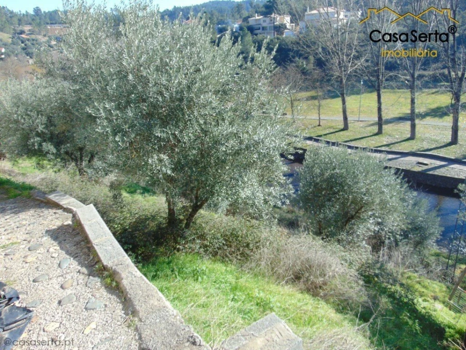 Terreno para Venda em Sertã Foto 14