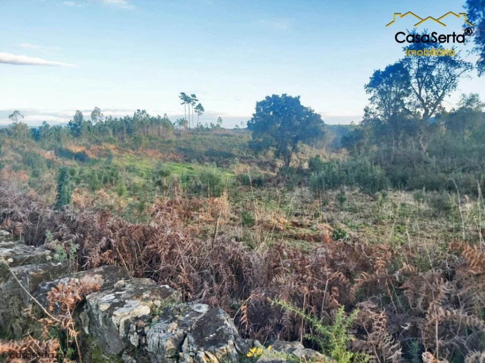 Terreno para Venda em Fundada Foto 1