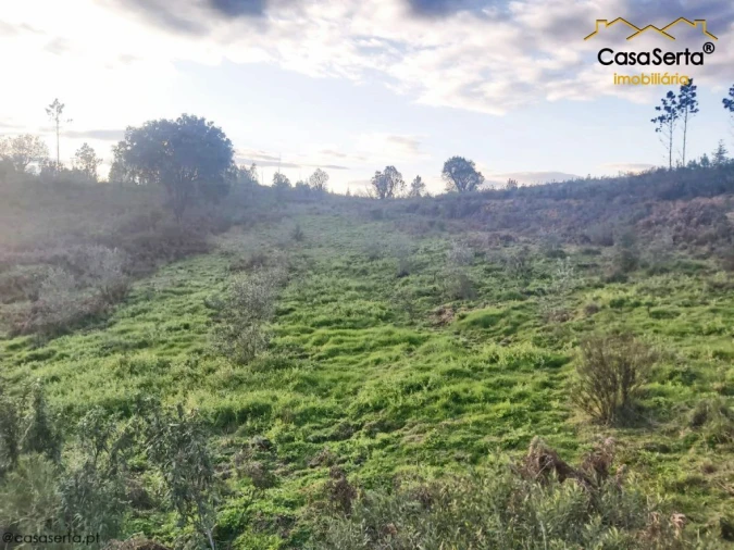 Terreno para Venda em Fundada Foto 6