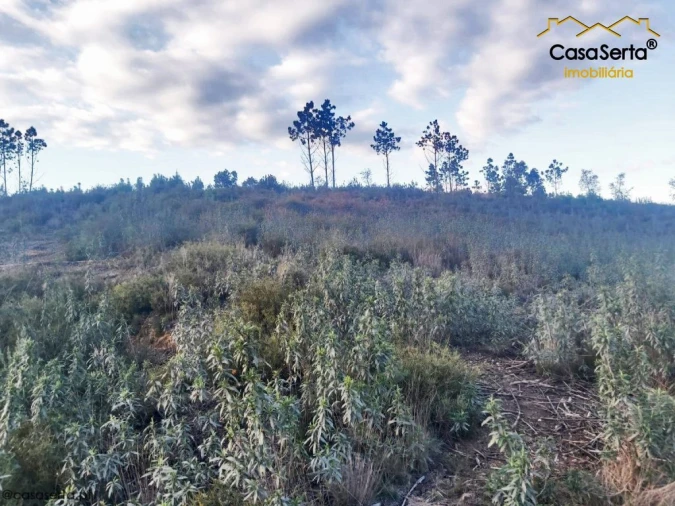 Terreno para Venda em Fundada Foto 3