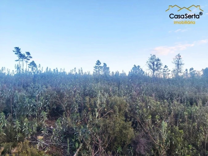 Terreno para Venda em Fundada Foto 4