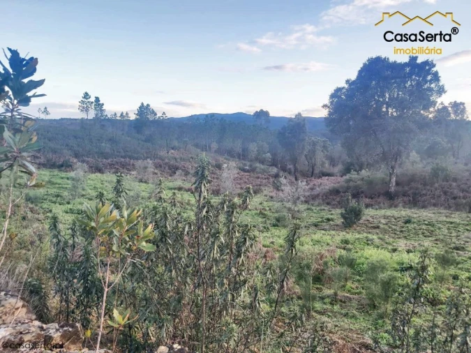 Terreno para Venda em Fundada Foto 2