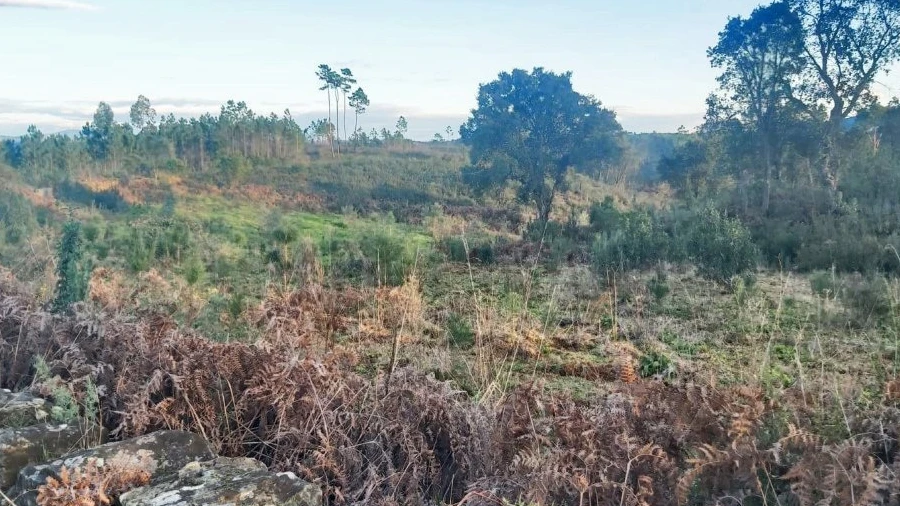 Terreno para Venda em Fundada