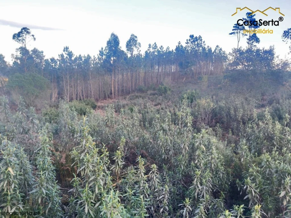 Terreno para Venda em Fundada Foto 5