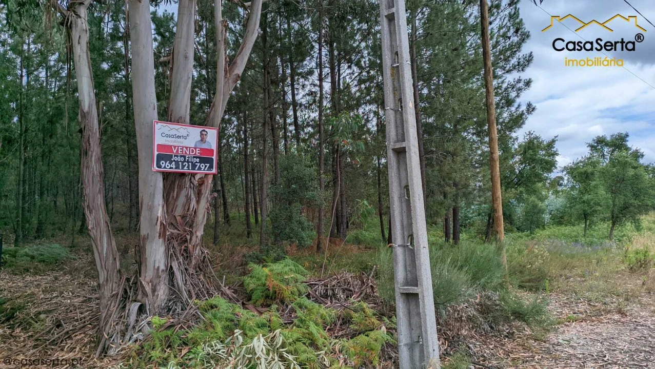 Terreno para Venda em Sertã Foto 1
