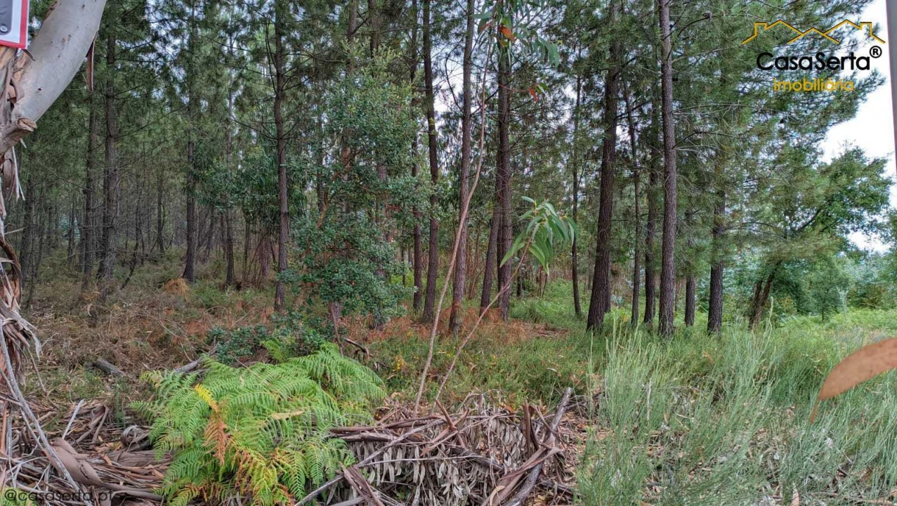 Terreno para Venda em Sertã Foto 2