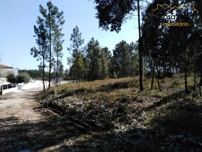 Terreno para Venda em Sertã Foto 3