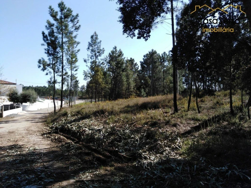Terreno para Venda em Sertã Foto 3