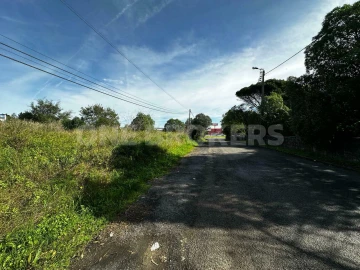 Terreno para Venda em Santa Maria e São Miguel, São Martinho, São Pedro Penaferrim
