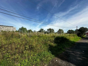 Terreno para Venda em Santa Maria e São Miguel, São Martinho, São Pedro Penaferrim