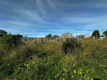 Terreno para Venda em Santa Maria e São Miguel, São Martinho, São Pedro Penaferrim