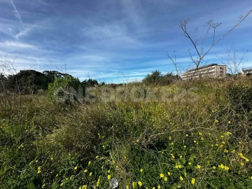 Terreno para Venda em Santa Maria e São Miguel, São Martinho, São Pedro Penaferrim