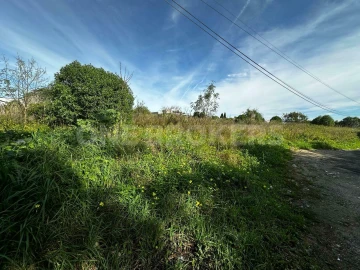 Terreno para Venda em Santa Maria e São Miguel, São Martinho, São Pedro Penaferrim