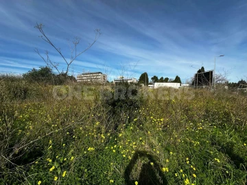 Terreno para Venda em Santa Maria e São Miguel, São Martinho, São Pedro Penaferrim