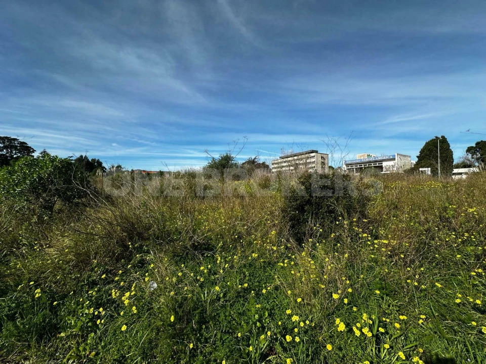 Terreno para Venda em Santa Maria e São Miguel, São Martinho, São Pedro Penaferrim Foto 5