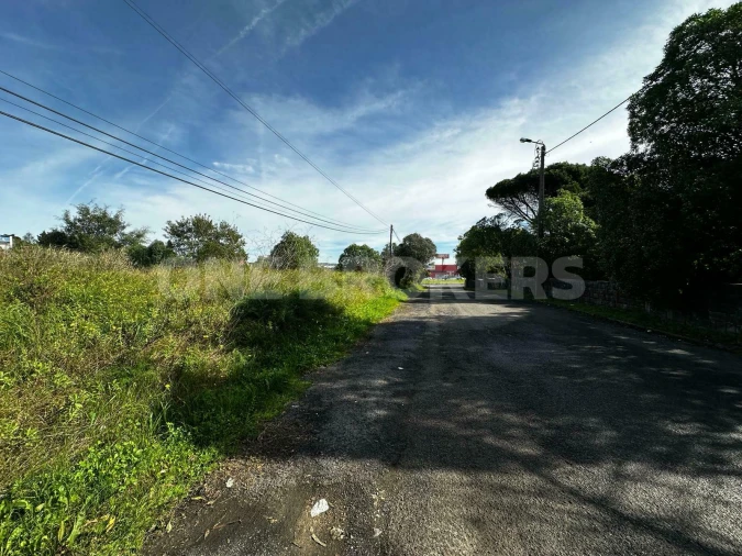 Terreno para Venda em Santa Maria e São Miguel, São Martinho, São Pedro Penaferrim Foto 2
