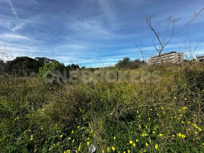 Terreno para Venda em Santa Maria e São Miguel, São Martinho, São Pedro Penaferrim Foto 6