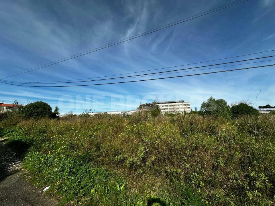 Terreno para Venda em Santa Maria e São Miguel, São Martinho, São Pedro Penaferrim Foto 8
