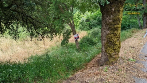 Terreno para Venda em Sertã