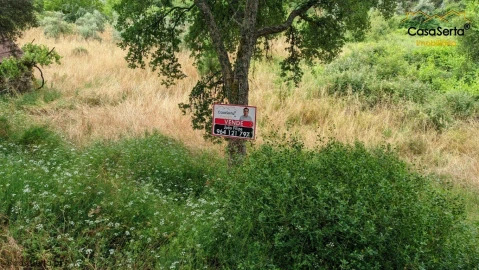 Terreno para Venda em Sertã