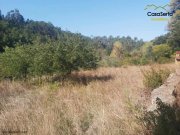 Terreno para Venda em Sertã
