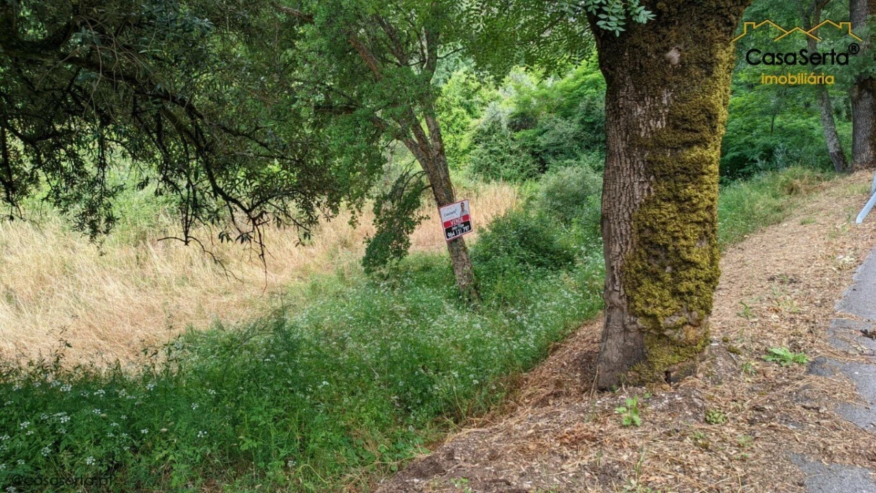 Terreno para Venda em Sertã Foto 1