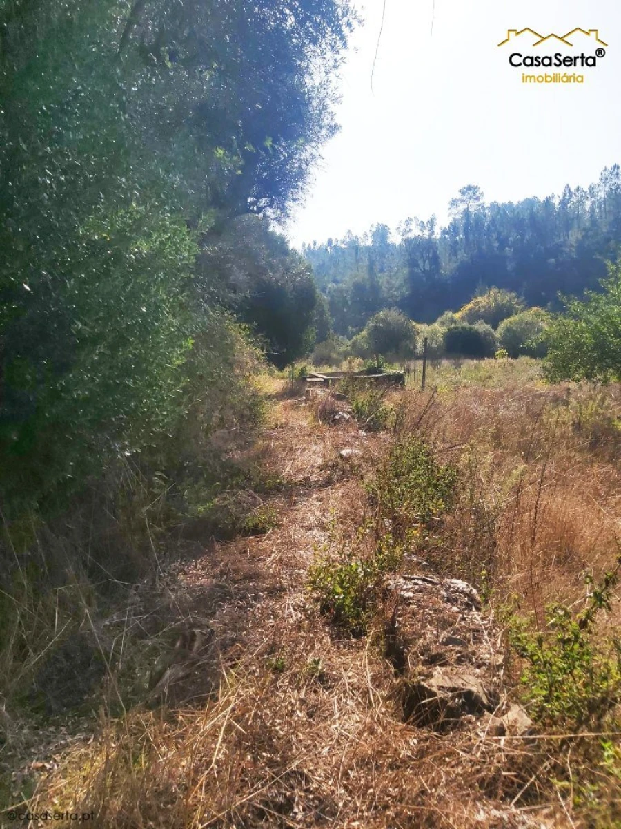 Terreno para Venda em Sertã Foto 18