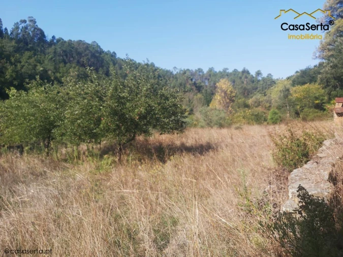 Terreno para Venda em Sertã Foto 13