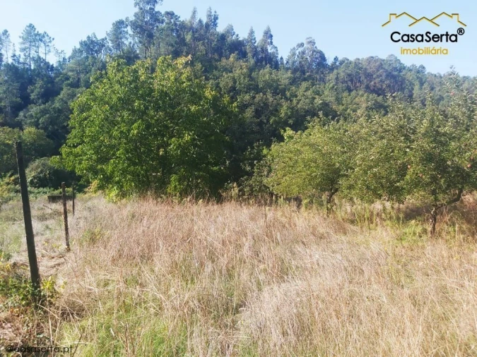 Terreno para Venda em Sertã Foto 14