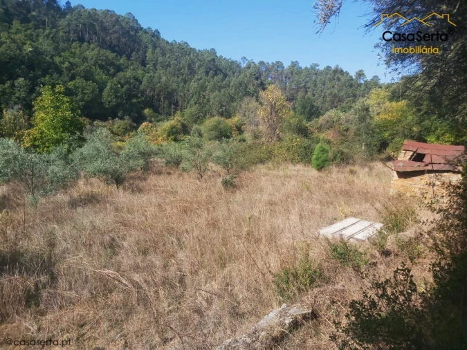 Terreno para Venda em Sertã Foto 4