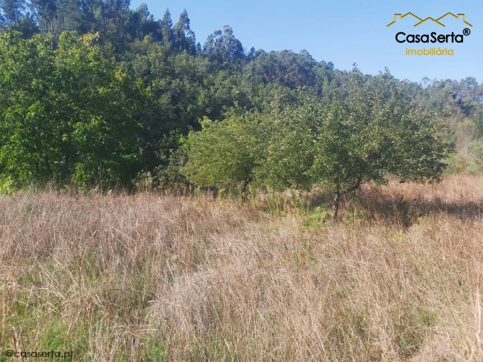 Terreno para Venda em Sertã Foto 15