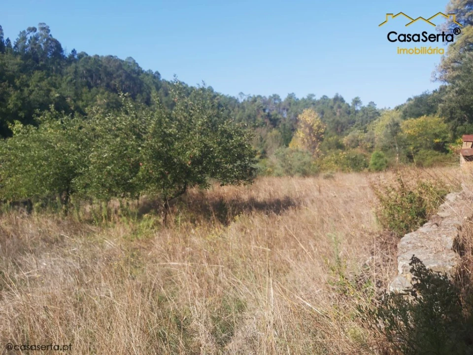 Terreno para Venda em Sertã Foto 13