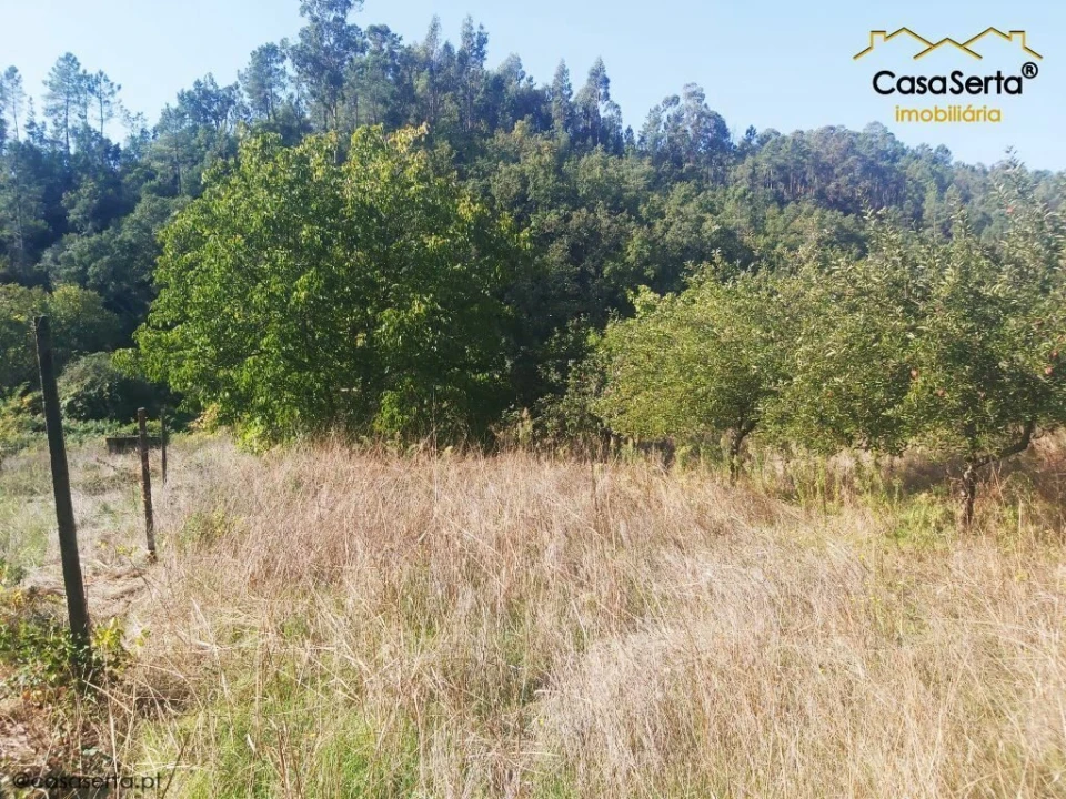 Terreno para Venda em Sertã Foto 14