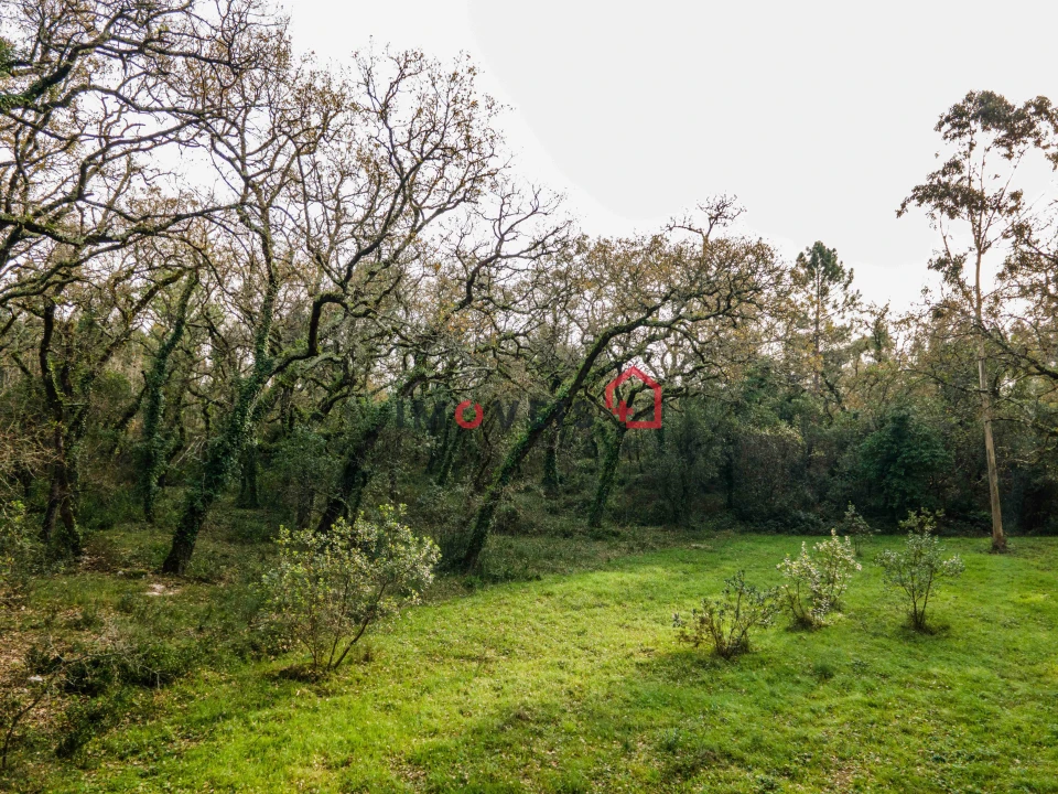 Terreno para Venda em Aljubarrota Foto 9