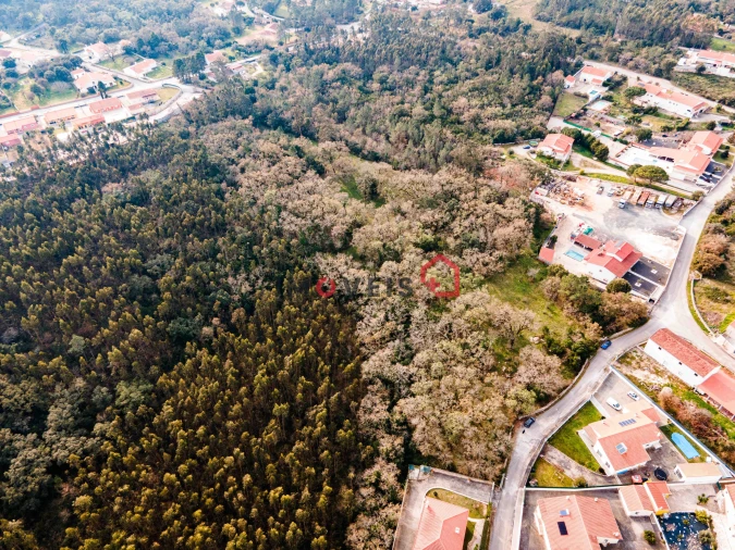 Terreno para Venda em Aljubarrota Foto 3